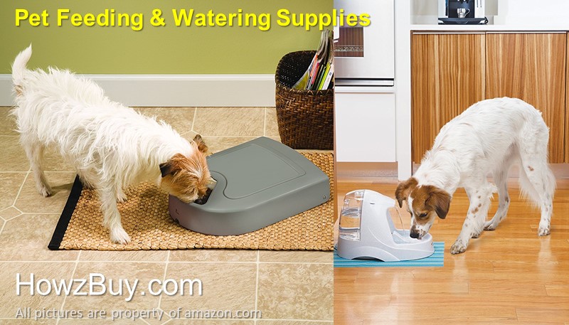 Pet feeding and watering station