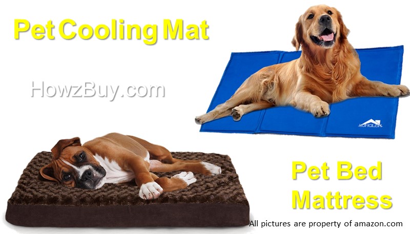 Pet Bed & Mattress for Dog/Cat