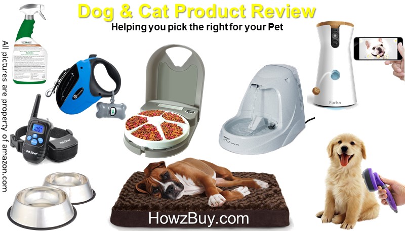 best dog accessories