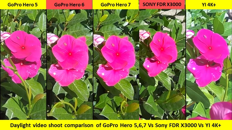 Day light video shooting Gopro Hero vs Sony FDR X3000 vs YI 4K+ action camera test results