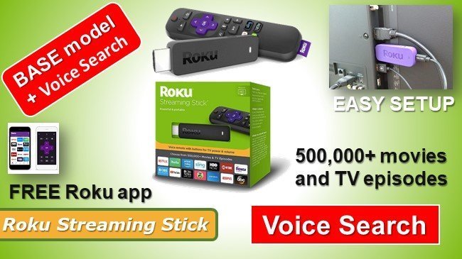 Roku Streaming Stick review - voice search enabled