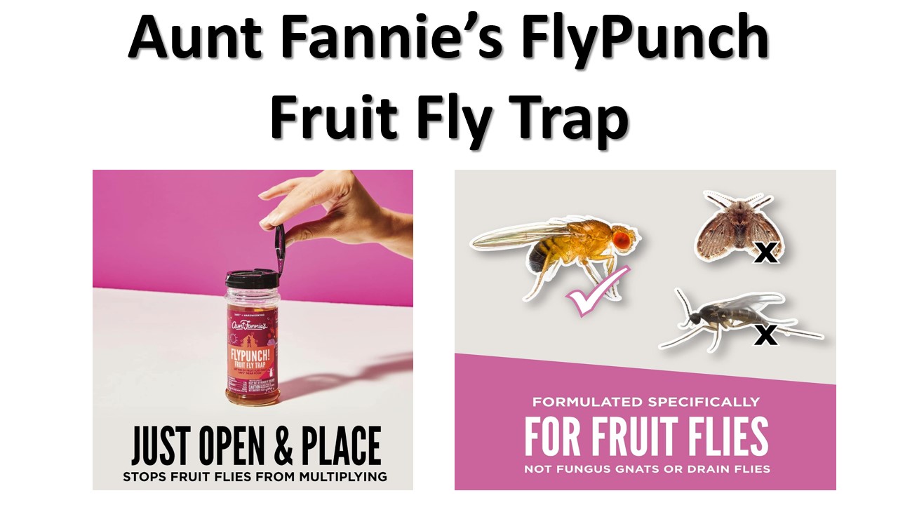 Aunt Fannie’s FlyPunch Fruit Fly Trap