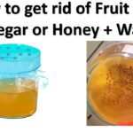 How to get rid of Fruit Flies using Vinegar or Honey + Water